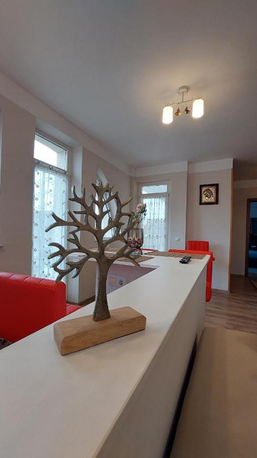 Zen Apartament *