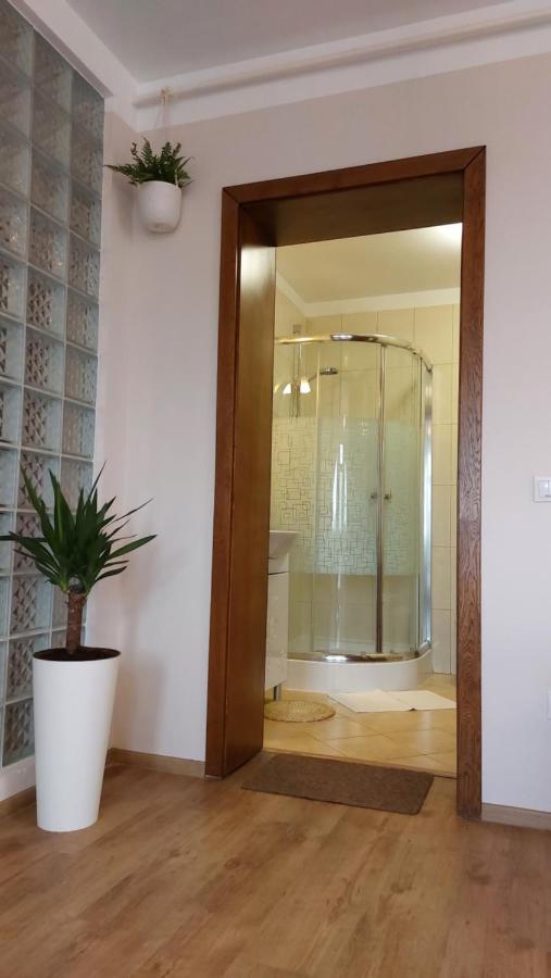 Zen Apartament * Braşov